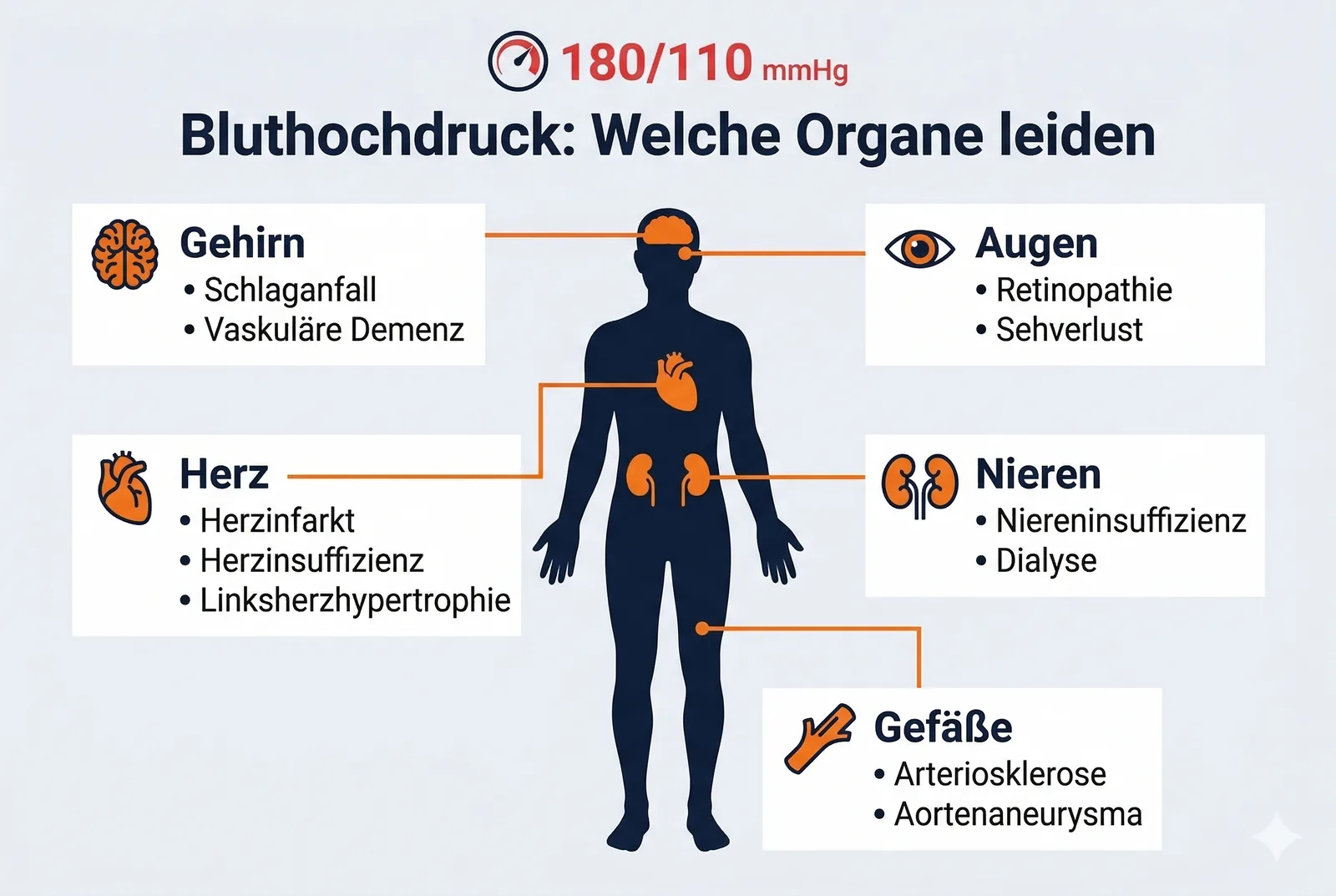 Bluthochdruck Organschäden: Herz, Gehirn, Nieren, Augen und Gefäße