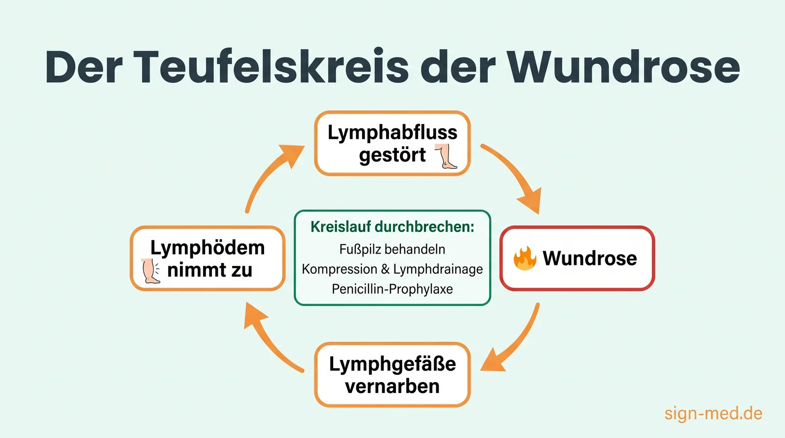 Kreisdiagramm des Teufelskreises der Wundrose: gestörter Lymphabfluss führt zur Wundrose, Lymphgefäße vernarben, das Lymphödem nimmt zu — durchbrochen wird der Kreislauf durch Fußpilz-Behandlung, Kompression, Lymphdrainage und Penicillin-Prophylaxe